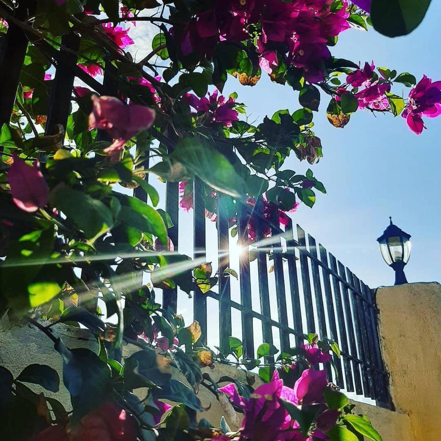 La Casa Di Beatrice Bed & Breakfast Đảo Đảo Panglao Ngoại thất bức ảnh